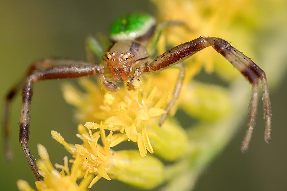 Photograph by Юрий Яковлевич