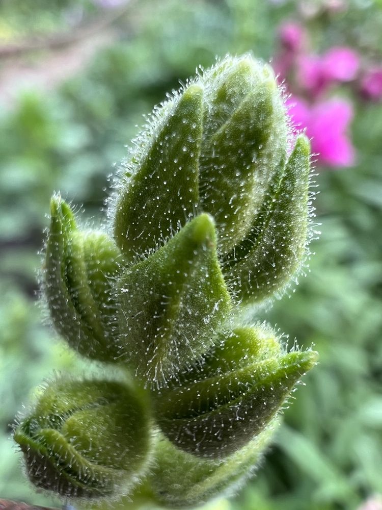 Photograph by Харламова Алина