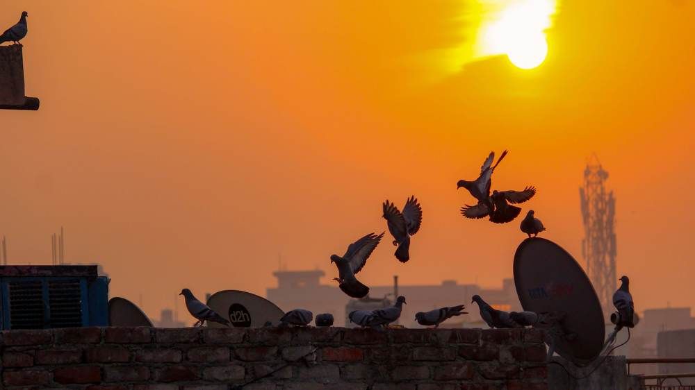 Фотография автора sachin gaurav