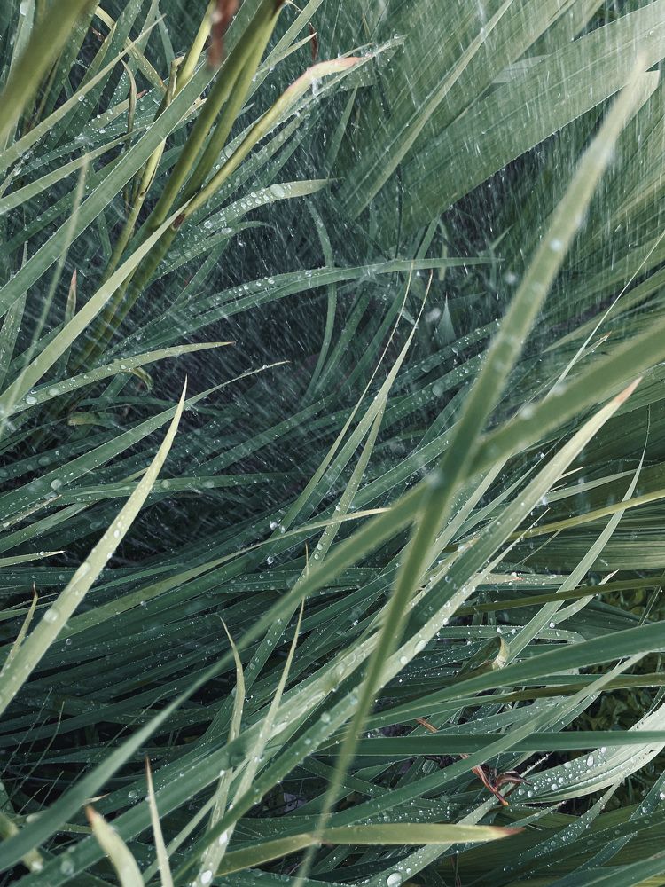 Photograph by Марина Тверитнева