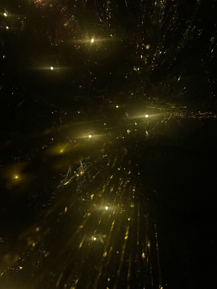 Photograph by Марина Тверитнева