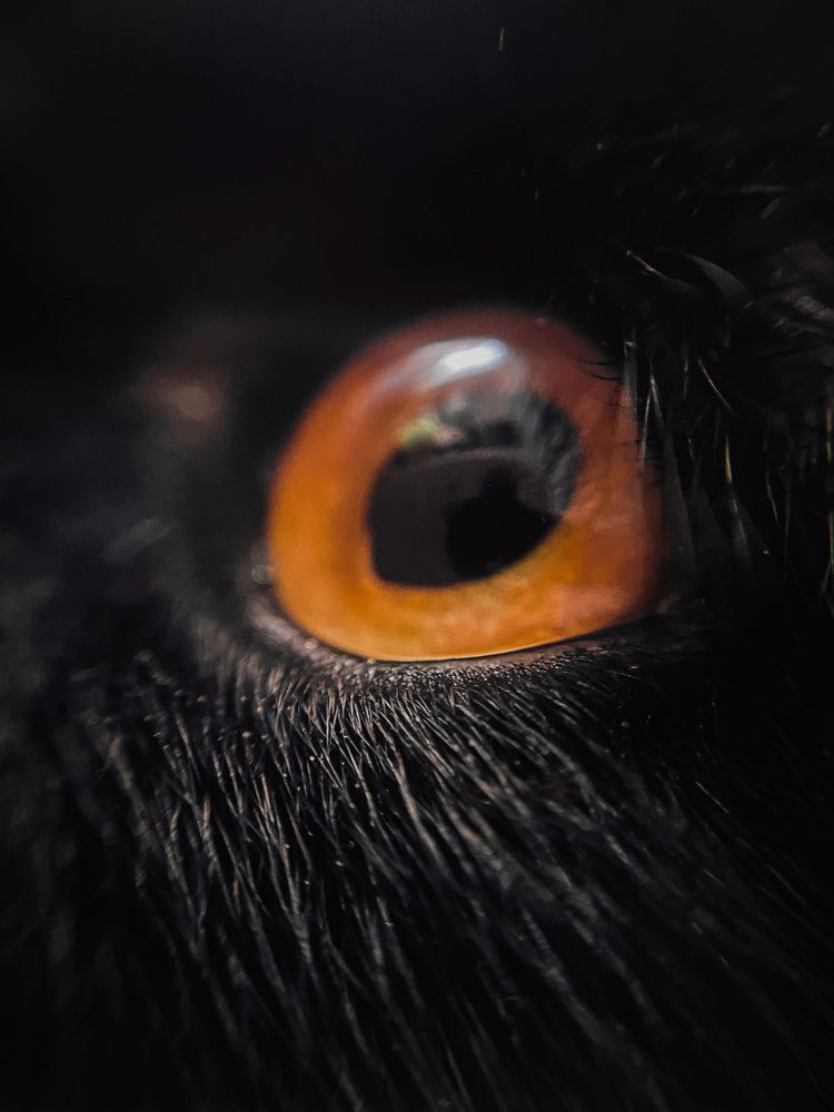 Photograph by Марина Тверитнева