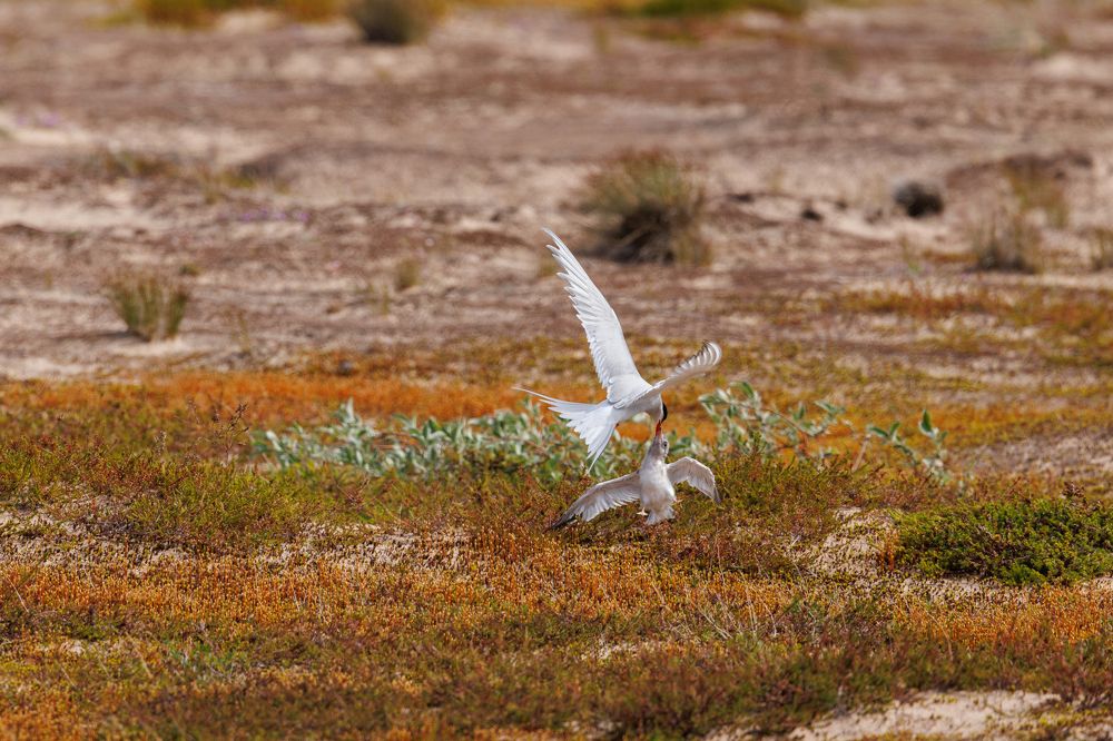 Photograph by Valentin Kolinko