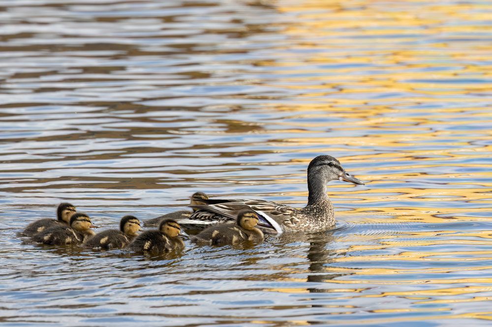 Photograph by Valentin Kolinko