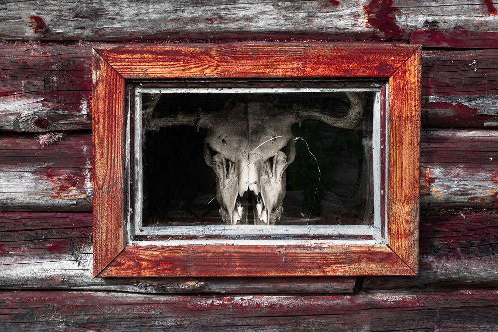 Photograph by Евгений Баранов