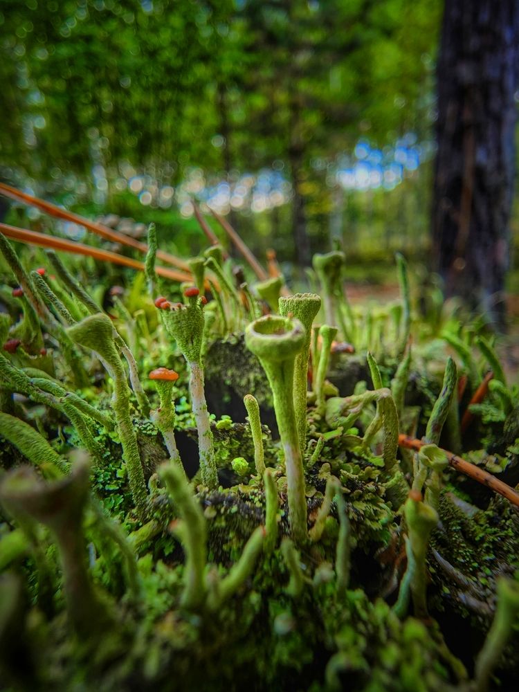 Photograph by Konstantin Martynov