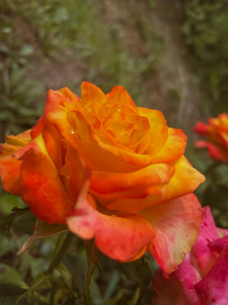 Photograph by Марина Тверитнева