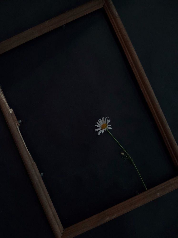 Photograph by Алия Латыйпова