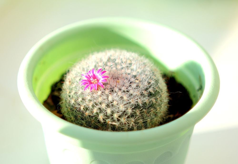 Photograph by Юрий Варюхин