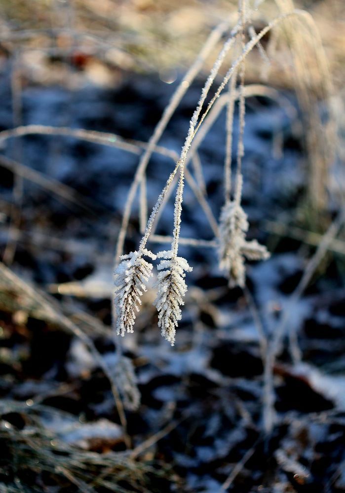 Photograph by Юрий Варюхин