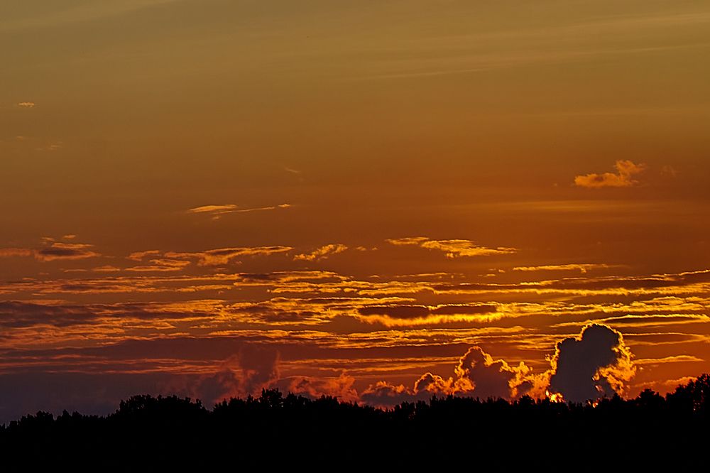 Photograph by Голованов Николай