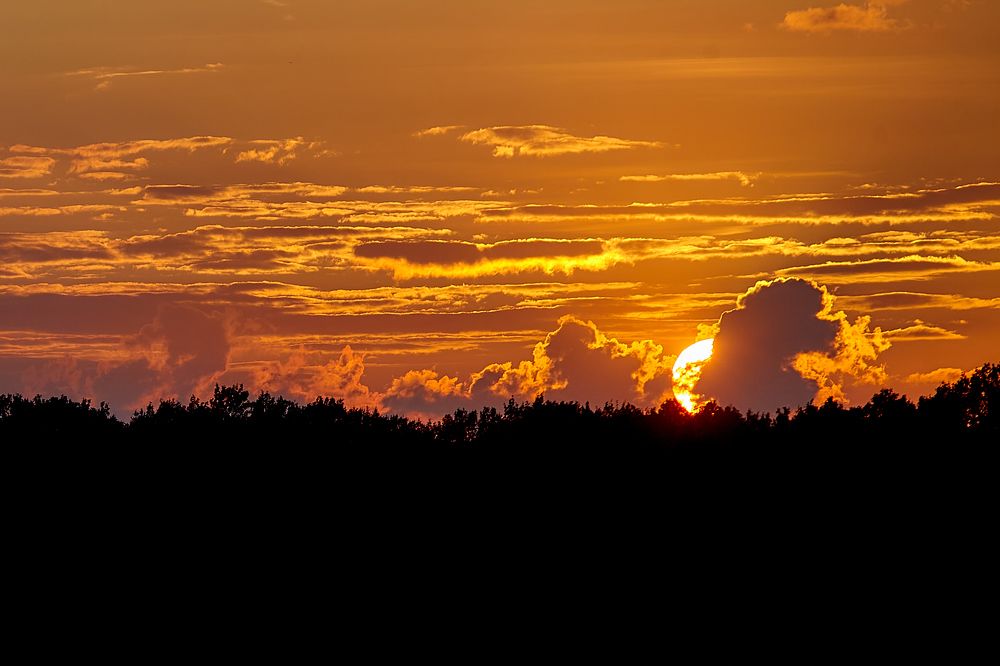 Photograph by Голованов Николай