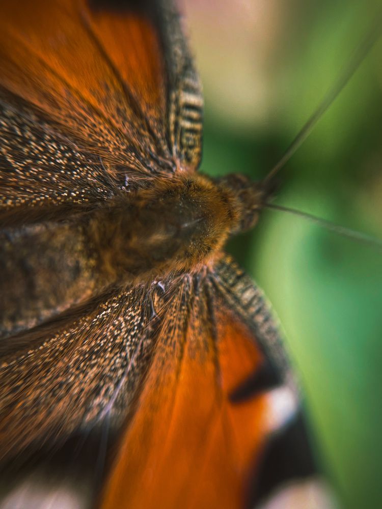 Photograph by Марина Тверитнева