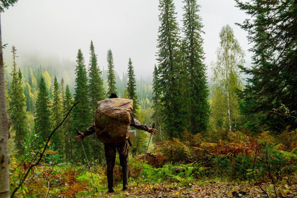 Photograph by Дубровин Николай