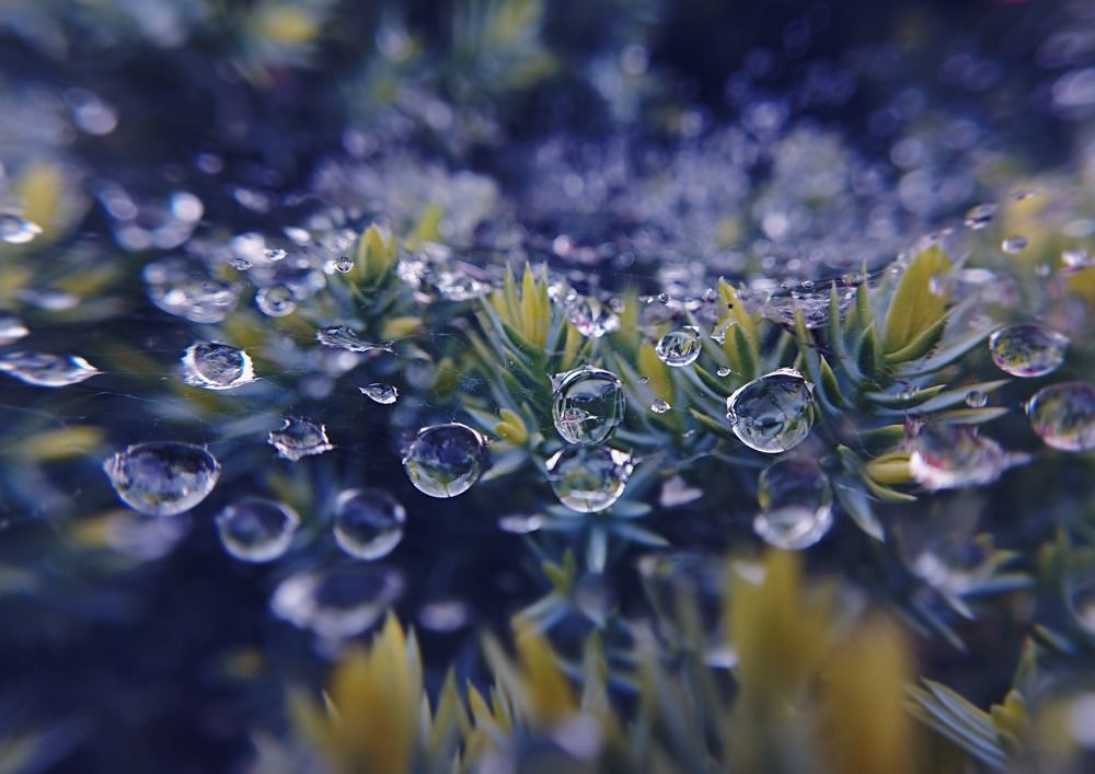 Photograph by Irina Dali