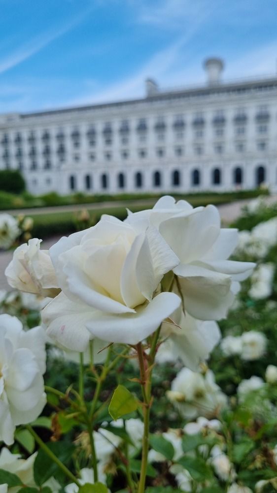 Photograph by Elena Tamošauskaite