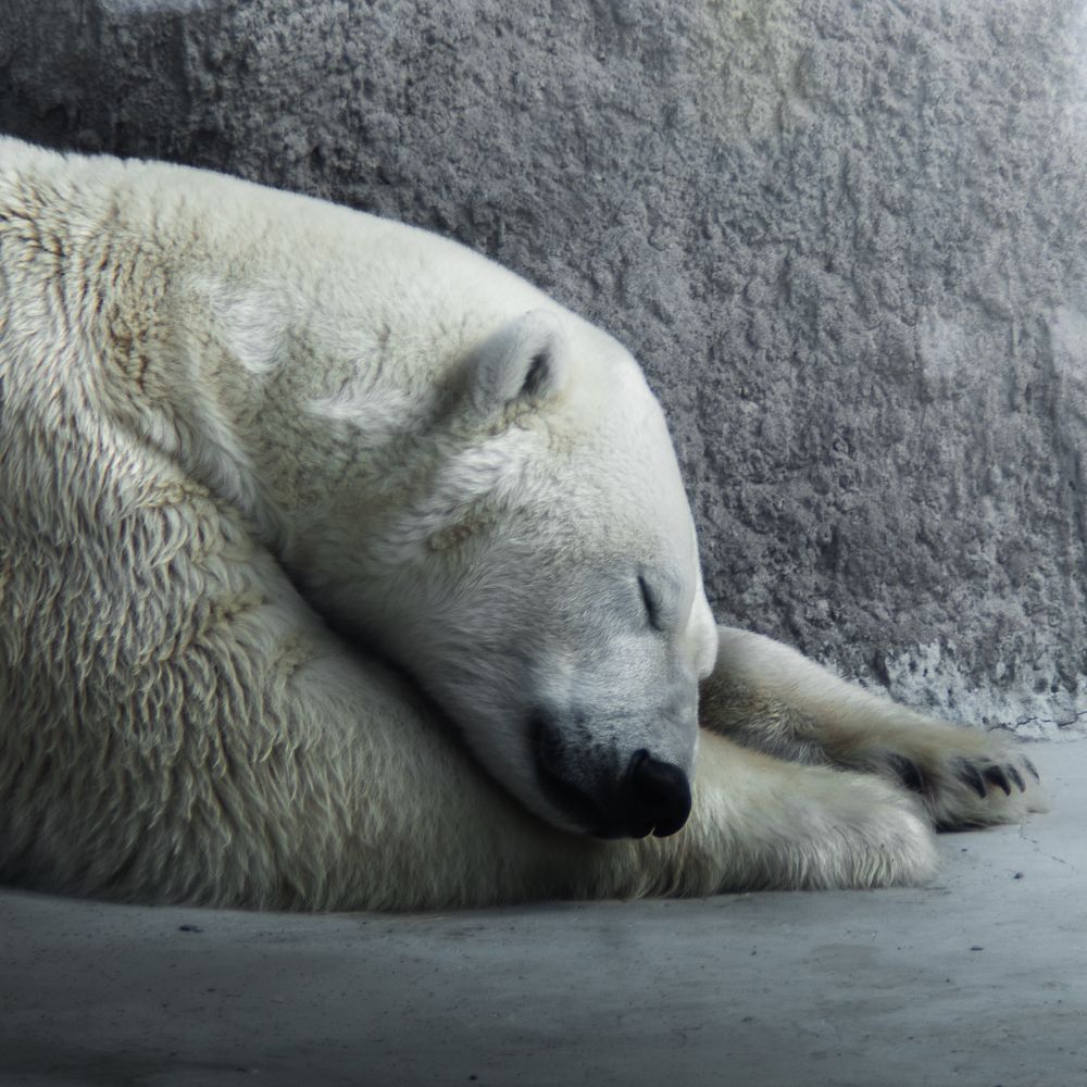 Photograph by Stanislav Shelby