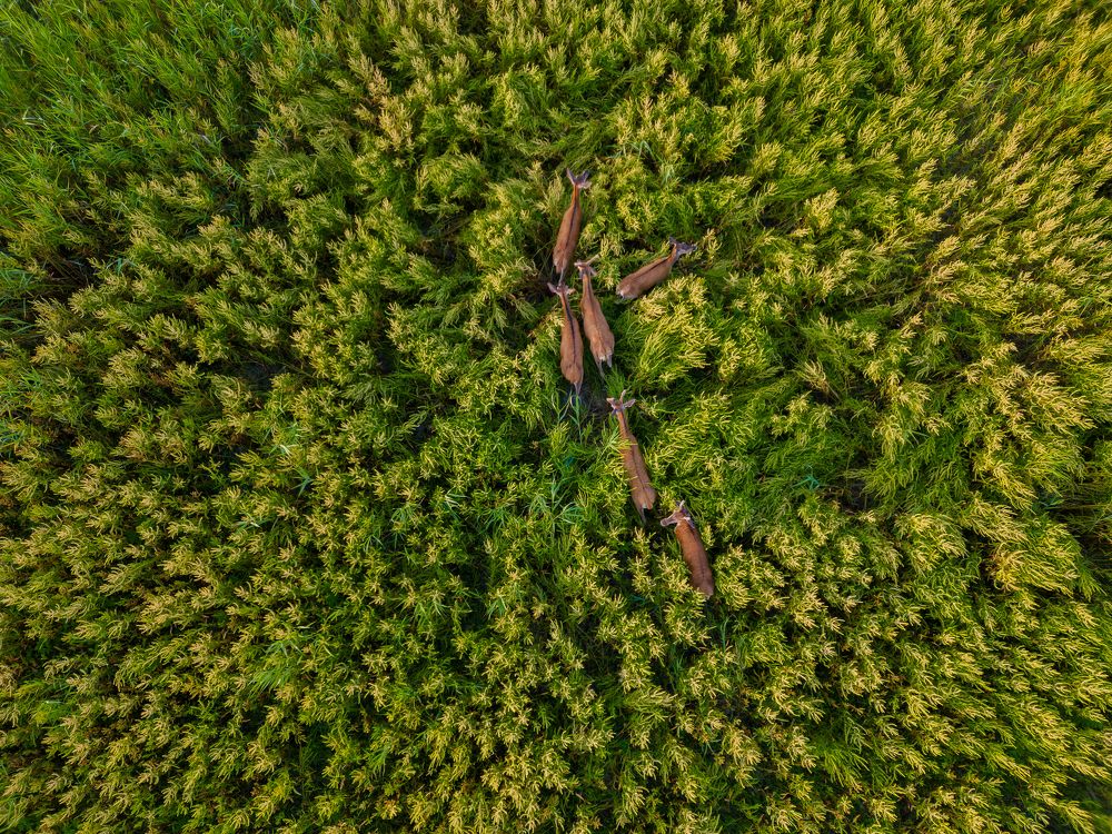 Photograph by George Alexandru Ghiuro