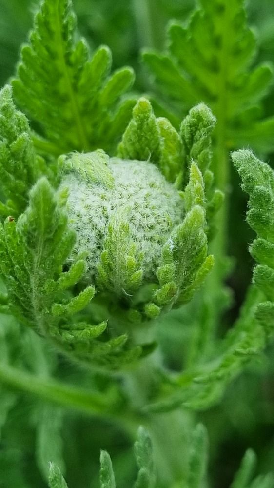 Photograph by Elena Tamošauskaite