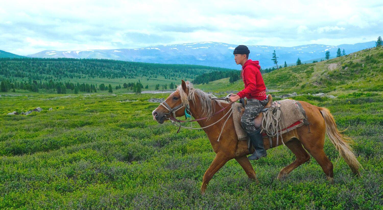 Photo #9537700