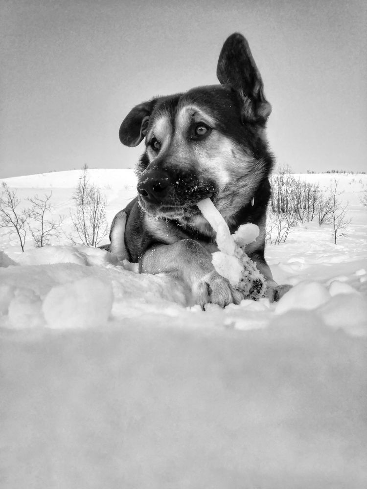 Фотография автора Olga