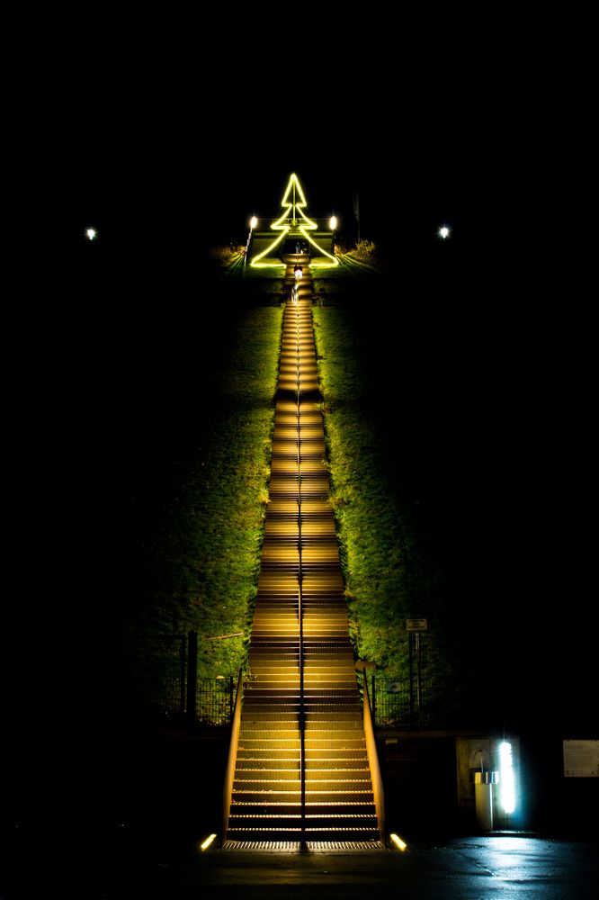 Photograph by Irina Chekanov