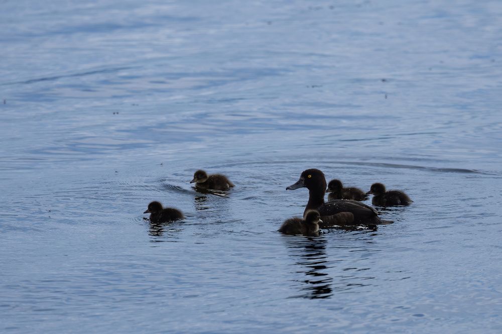 Photograph by Valentin Kolinko