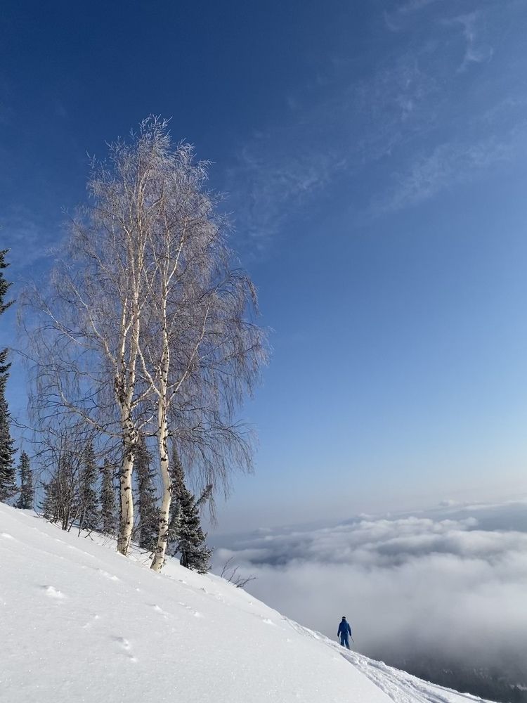 Photograph by Светлана Басова