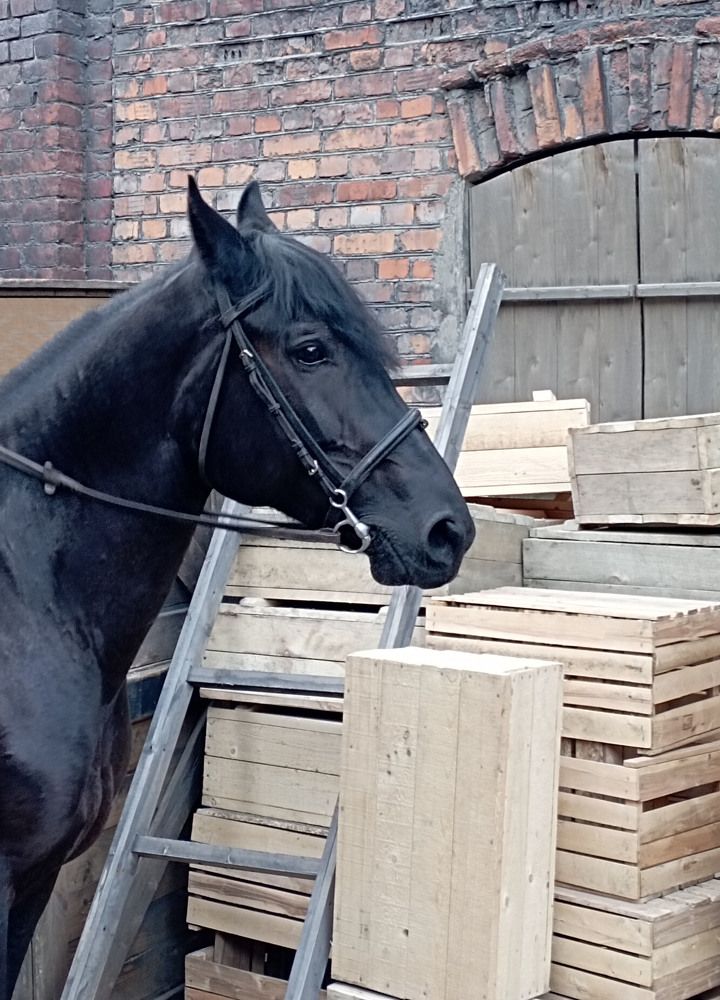 Photograph by Boris Butianov