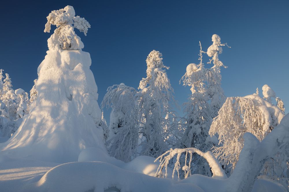 Снежное царство