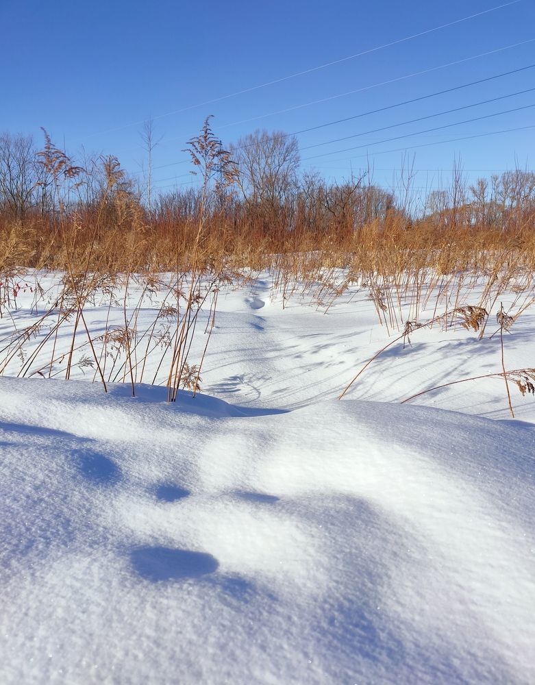 Фотография автора Светлана Смирнова