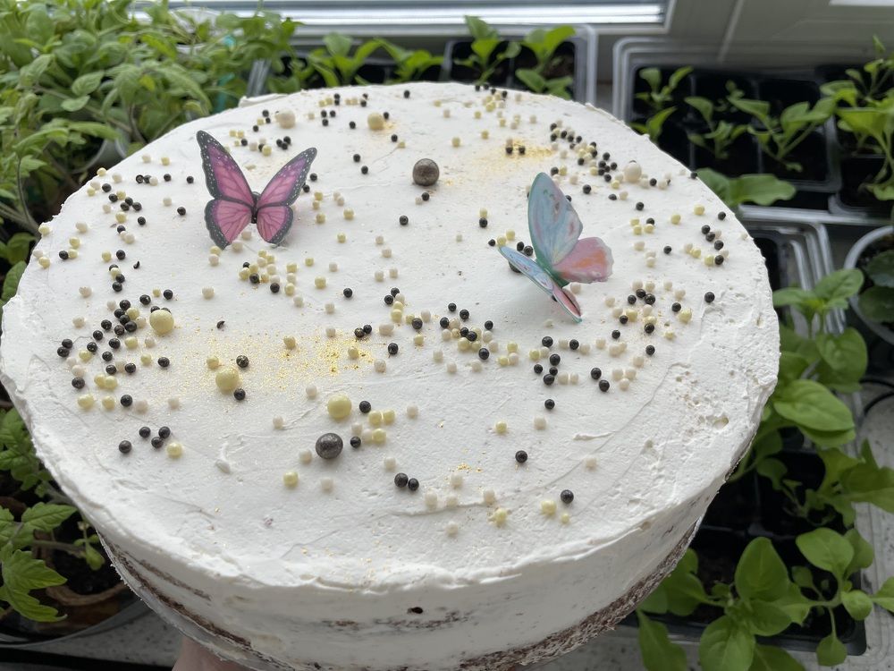 Photograph by Анастасия Авдеева