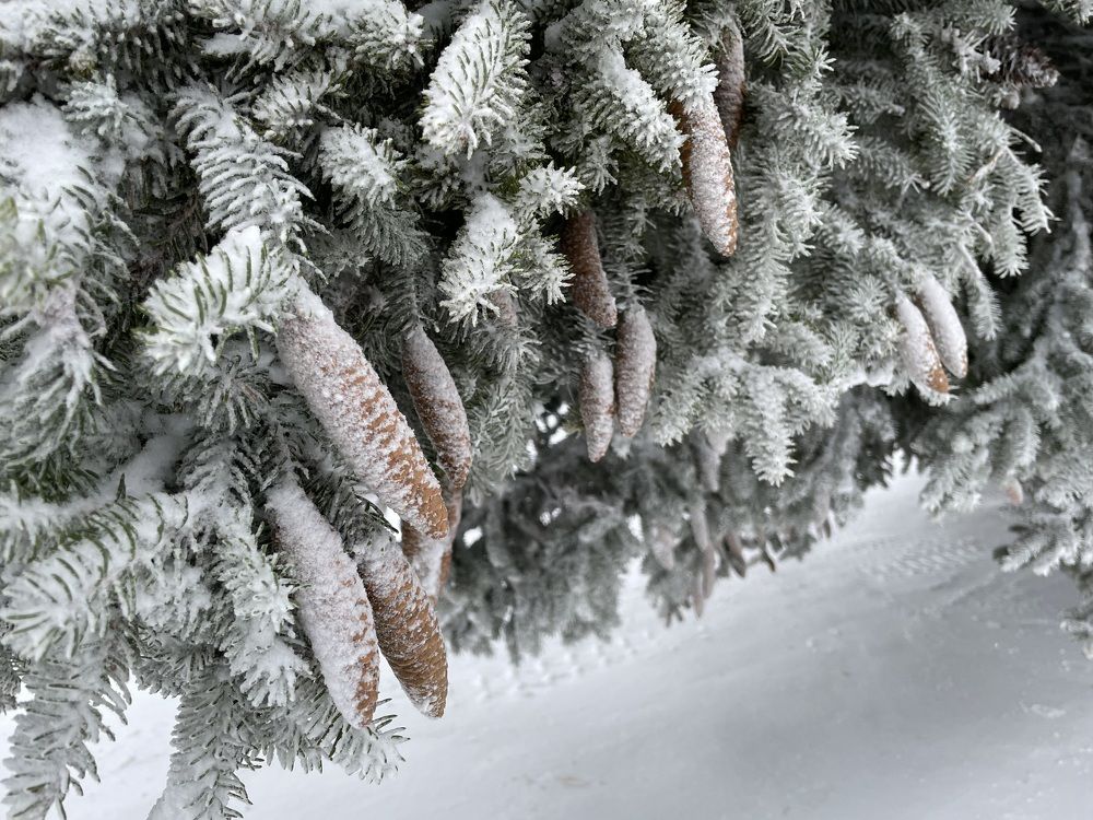 Photograph by Анастасия Авдеева