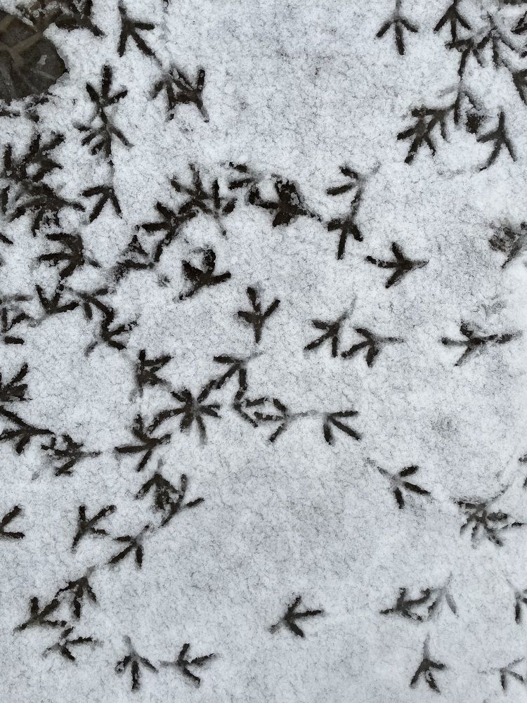 Photograph by Анастасия Авдеева