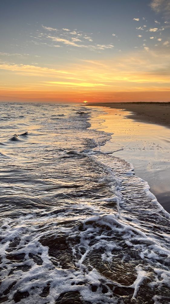 Фотография автора Юлия Шумейко