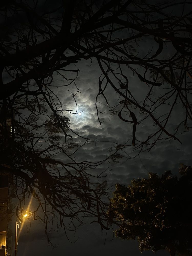 Фотография автора Hassan Mohamed Hamissa