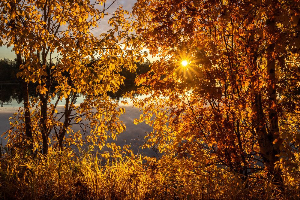 Photograph by Svetlana Dorokhova