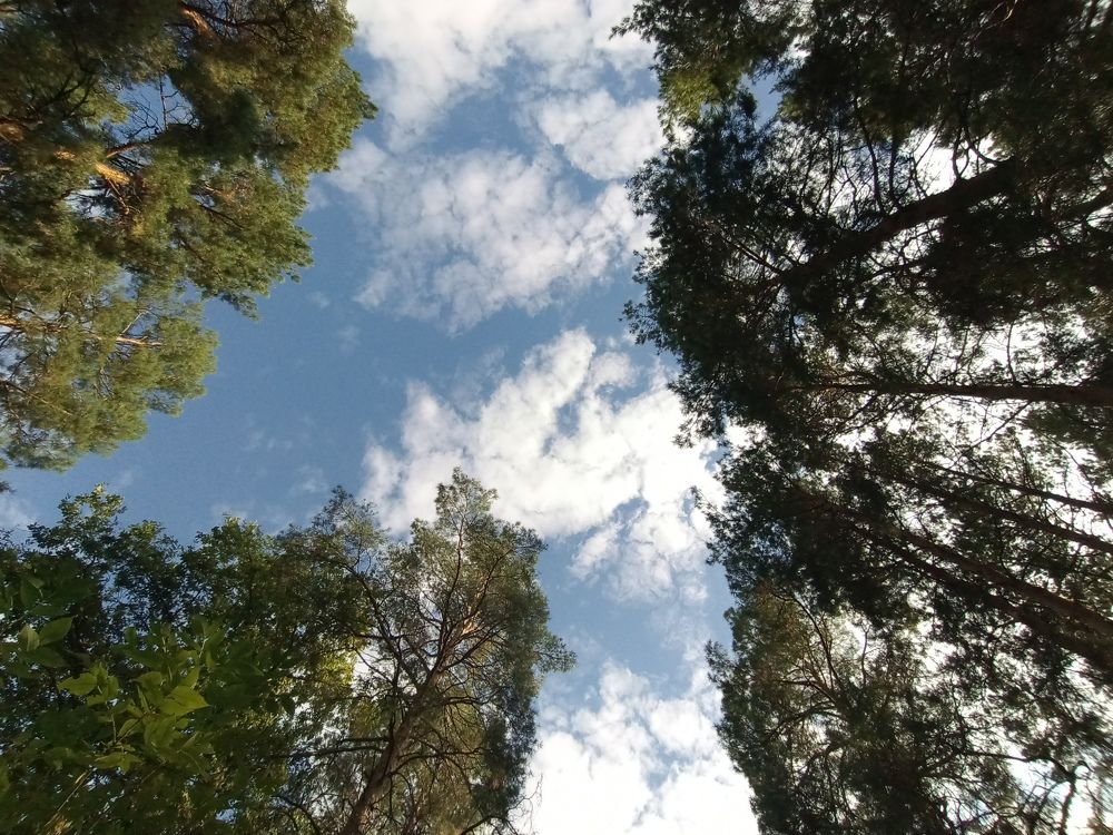 Photograph by Bogda Ncik