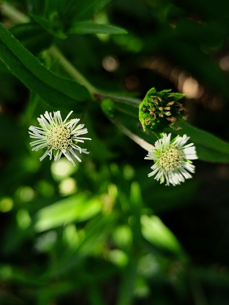 Photograph by Asmaa Mohammad Ahmed