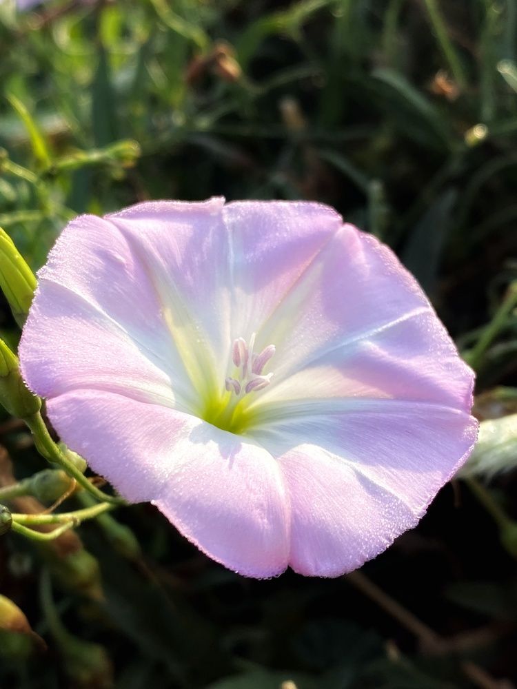 Photograph by Asmaa Mohammad Ahmed