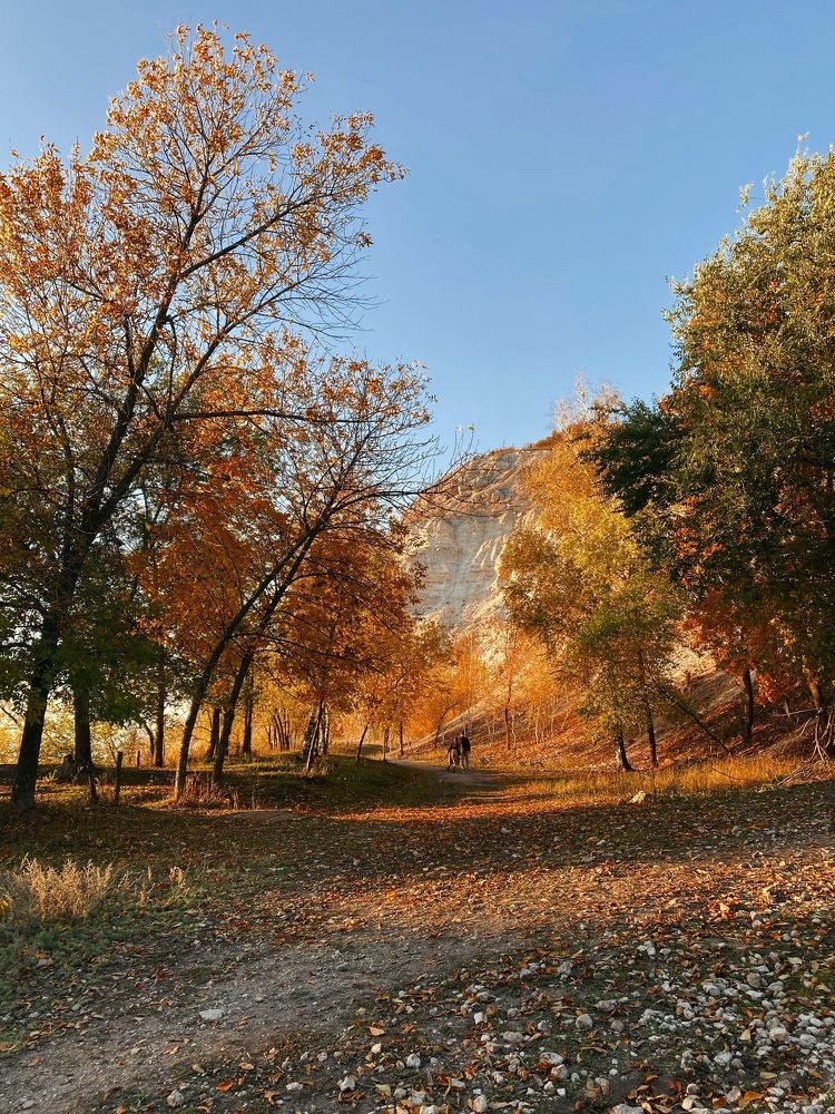 Photograph by Евгения Решетникова