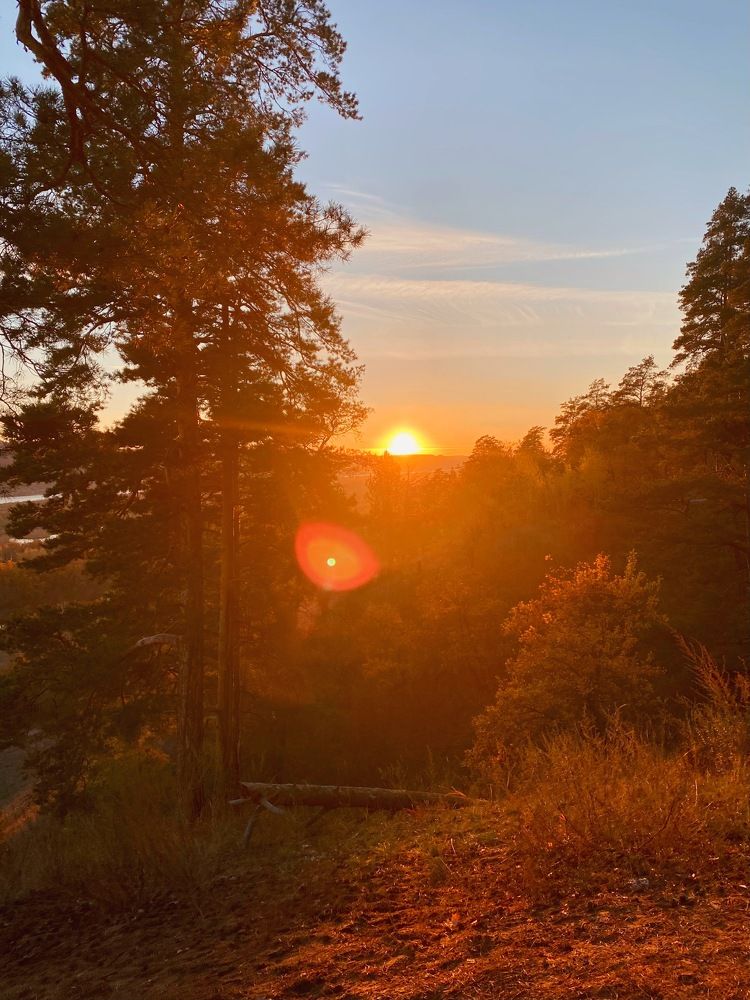 Photograph by Евгения Решетникова