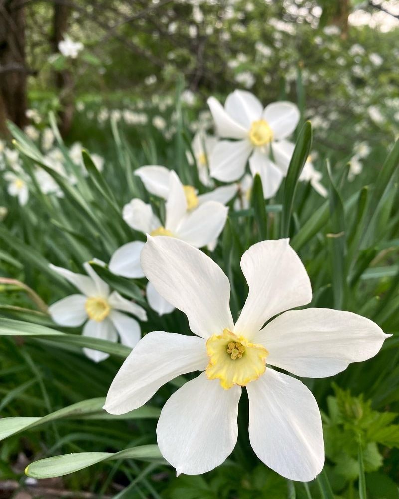 Photograph by Евгения Решетникова