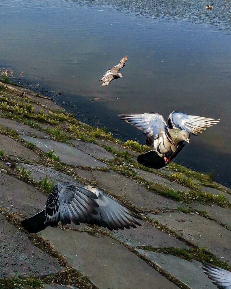 Photograph by Наталья Балабанова