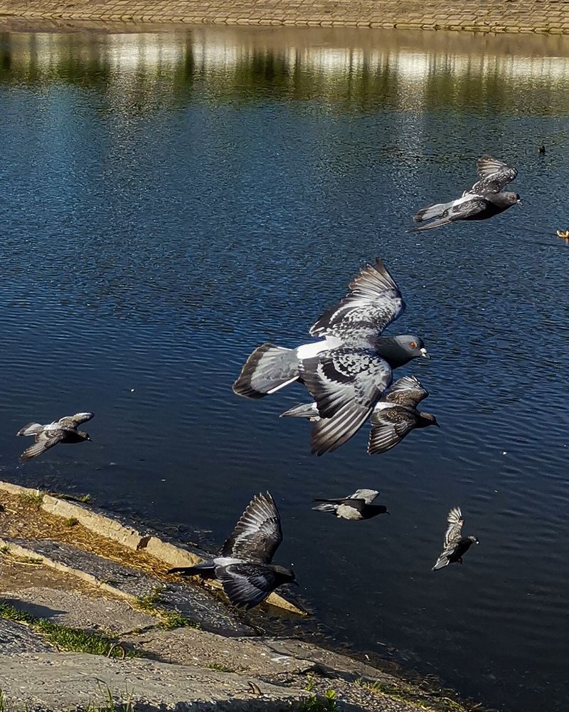 Photograph by Наталья Балабанова