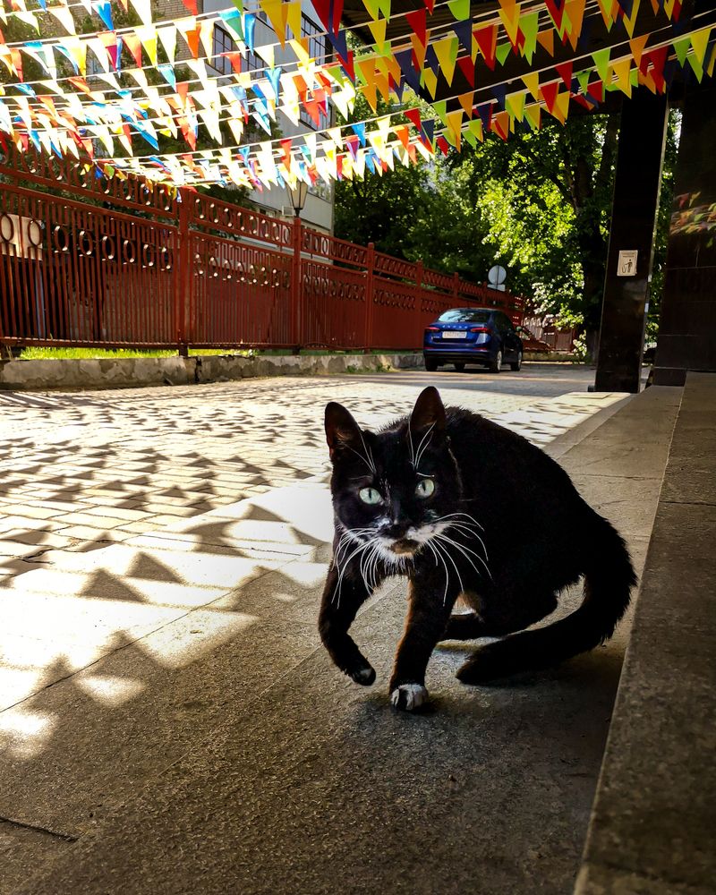 Photograph by Наталья Балабанова