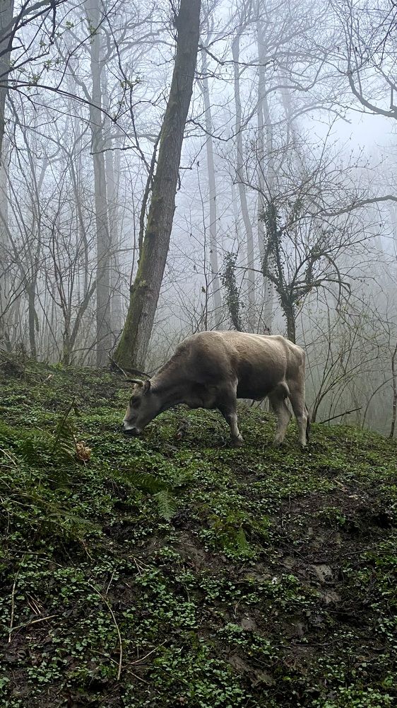Photograph by Евгения Решетникова