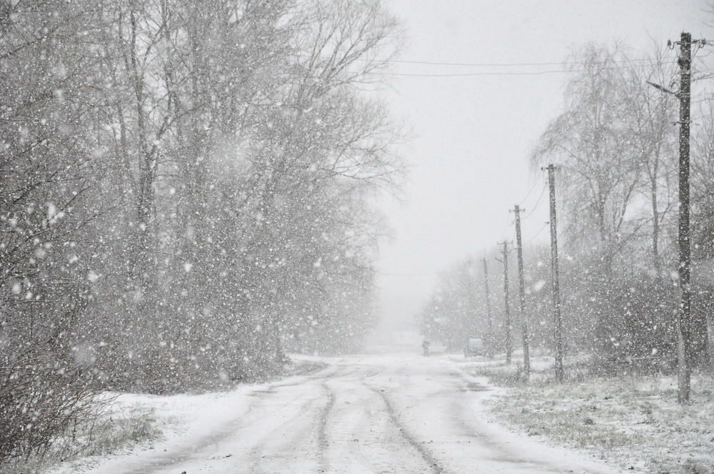 Photograph by Галина Лысых