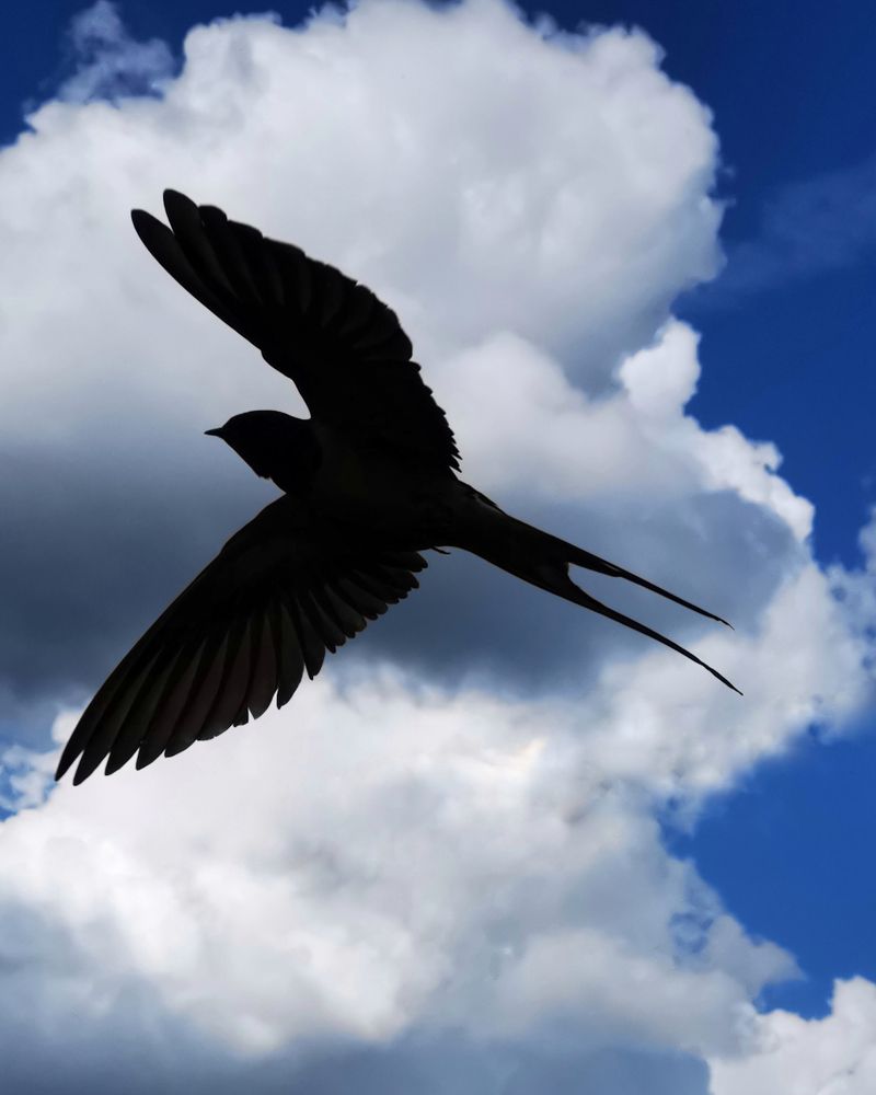 Photograph by Наталья Балабанова