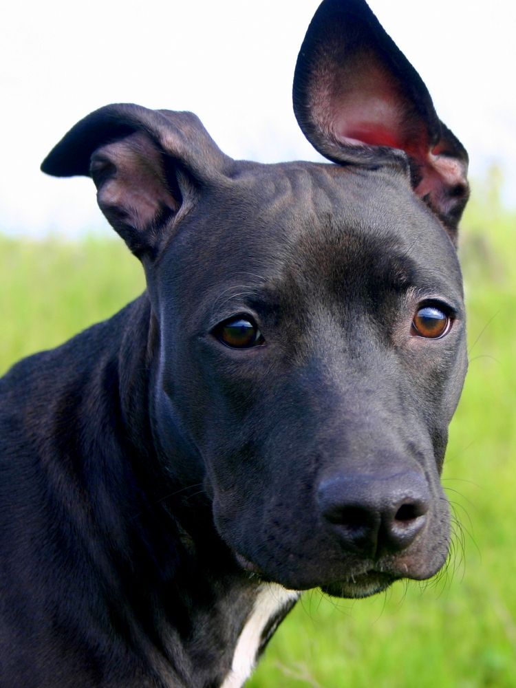 Фотография автора Nelya  Lysenko